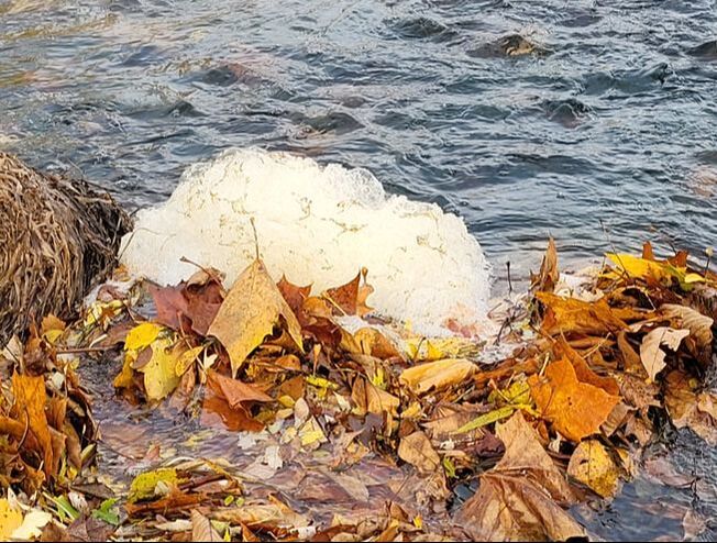 Patches of foam on Penns Creek sparks exploration into causes and encouragement to follow curiosity - Middle Susquehanna Riverkeeper